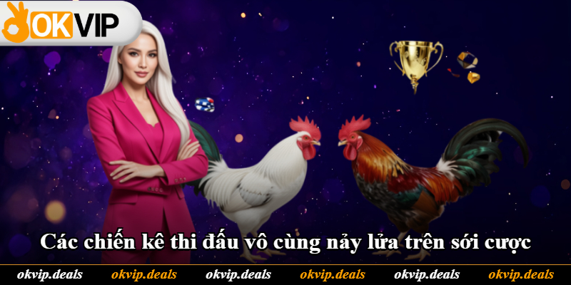 Các chiến kê thi đấu vô cùng nảy lửa trên sới cược Các chiến kê thi đấu vô cùng nảy lửa trên sới cược