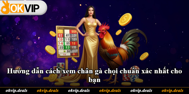 Hướng dẫn cách xem chân gà chọi chuẩn xác nhất cho bạn