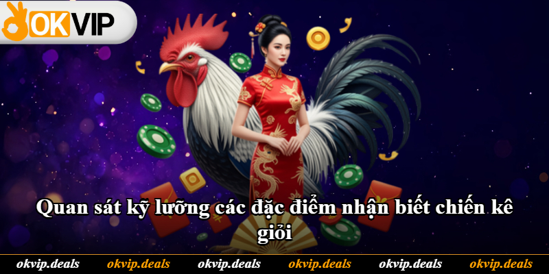 Quan sát kỹ lưỡng các đặc điểm nhận biết chiến kê giỏi